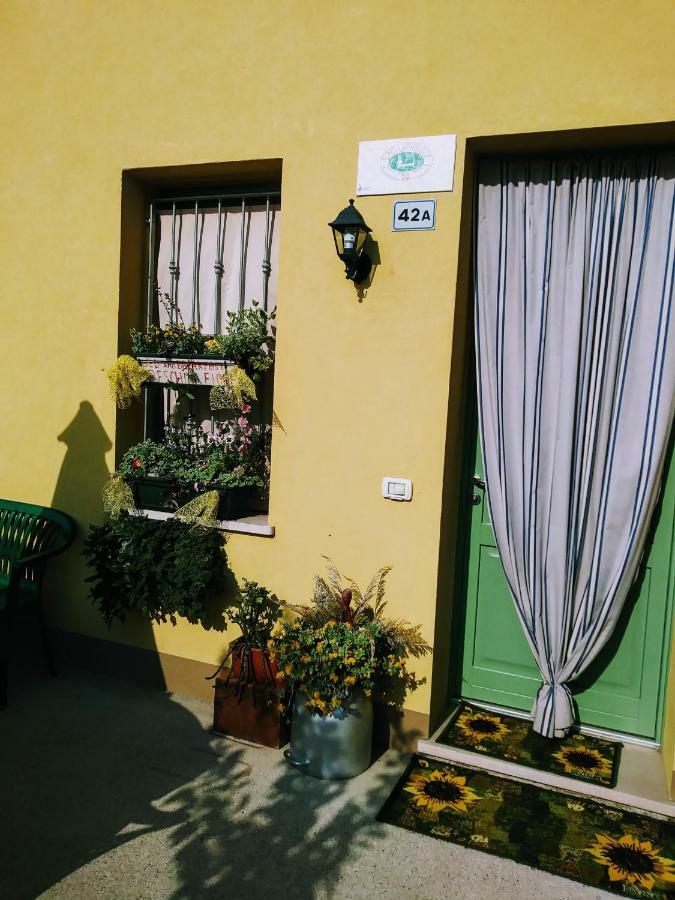 فاليجيو سول مينشيو B&B Peschi In Fiore المظهر الخارجي الصورة