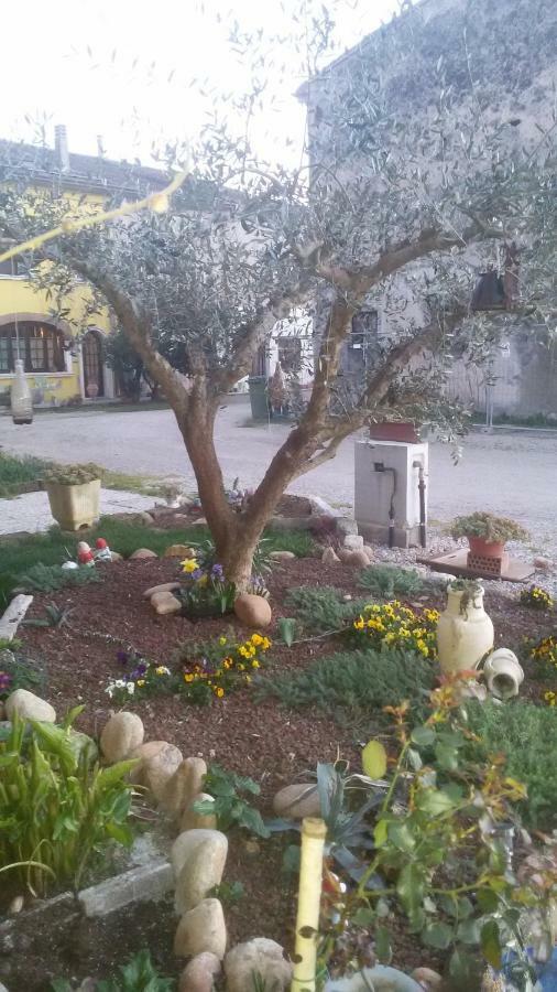 فاليجيو سول مينشيو B&B Peschi In Fiore المظهر الخارجي الصورة